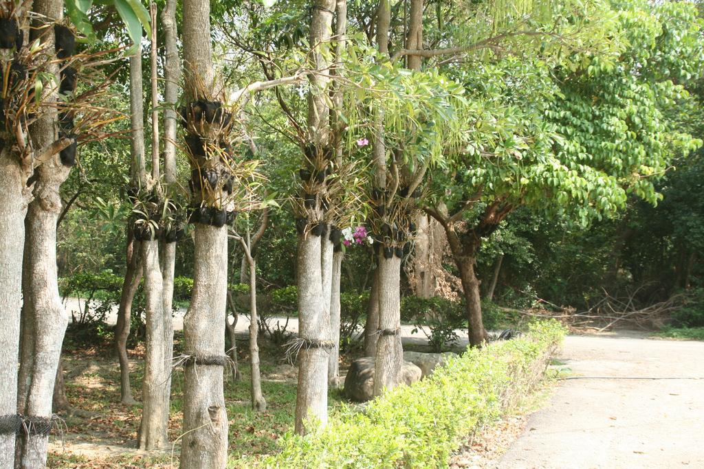 Butterfly B&B Manzhou Esterno foto