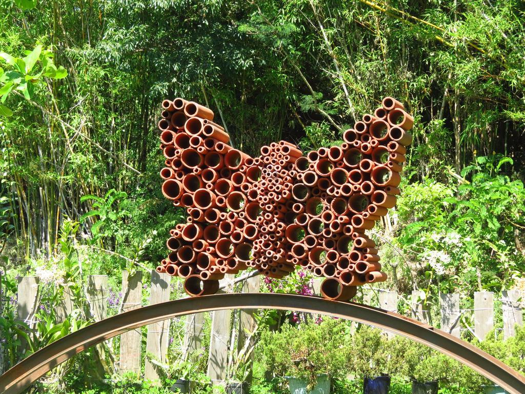 Butterfly B&B Manzhou Esterno foto